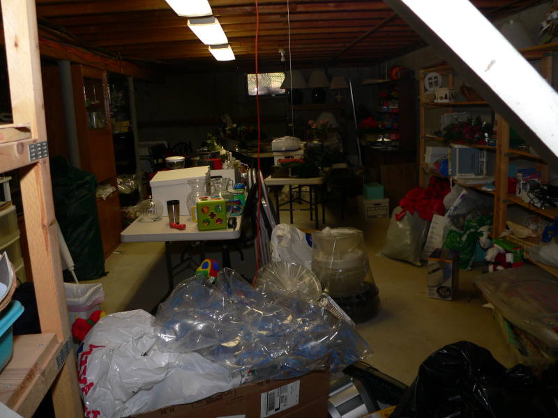 The Basement Before Remodeling